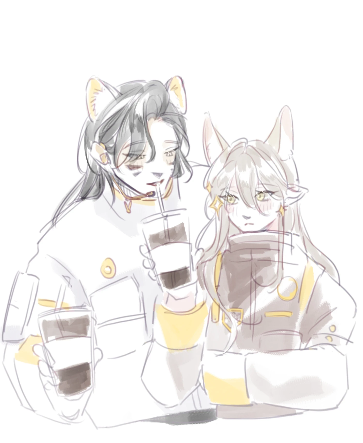 2024-06-13.png
